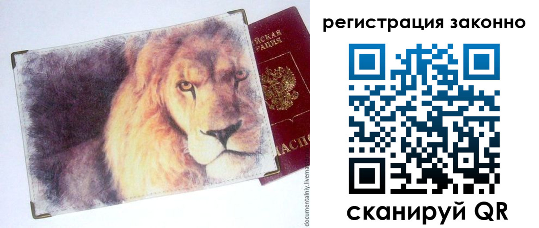 прописка гарантия в Красном Куте